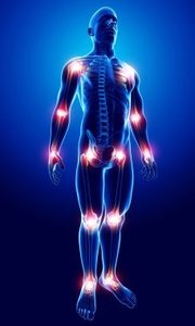 Human body highlighting major joint locations