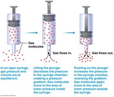 Pressure gradients and air flow in a syringe