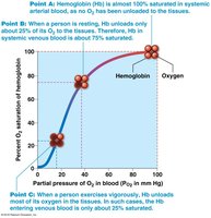 Oxygen-hemoglobin dissociation curve