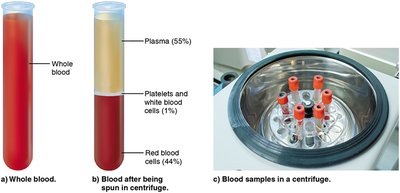 Blood sample before and after centrifugation, showing plasma, platelets, WBCs, and RBCs