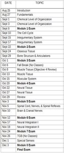 Course schedule table