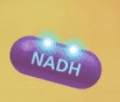 NADH molecule cartoon representation