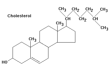 Cholesterol structure