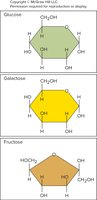 Structures of glucose, galactose, and fructose