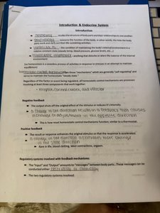 Introduction & Endocrine Systems notes page