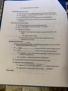 Pituitary hormone regulation notes page