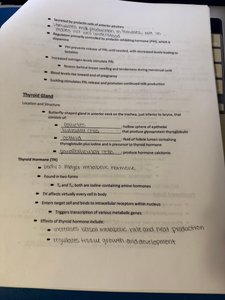 Thyroid gland notes page
