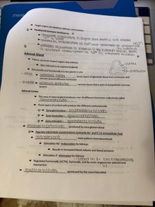 Adrenal gland notes page