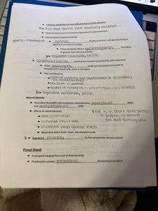 Adrenal medulla and pineal gland notes page