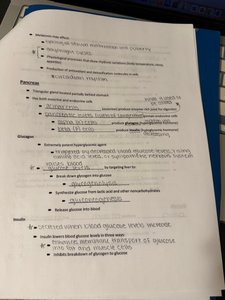 Pancreas notes page