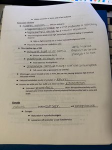 Gonads notes page
