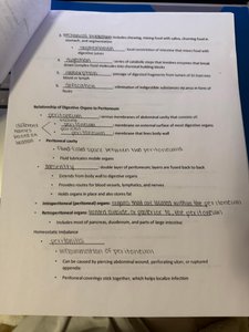 Digestive organs and peritoneum notes page