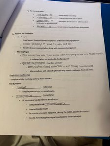 Pharynx and esophagus notes page
