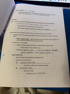 Stomach notes page