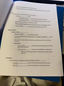 Small intestine absorption notes page