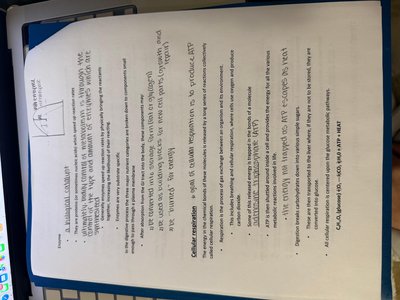 Krebs cycle and electron transport chain notes page