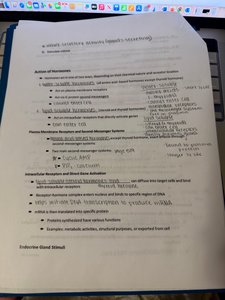 Actions of hormones notes page