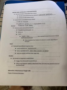 Hormone activity notes page