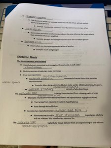 Pituitary gland notes page