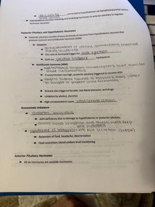 Posterior pituitary and hypothalamus notes page
