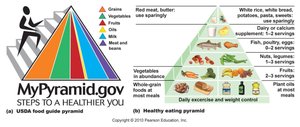 USDA food guide pyramid