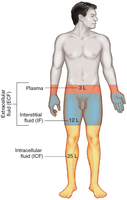Relative Volumes of Three Body Fluids