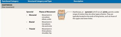 Functional and structural classifications of diarthrosis