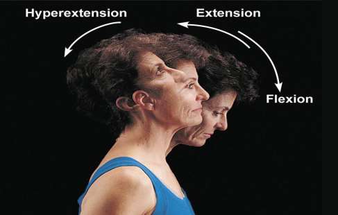 Abduction, adduction, circumduction