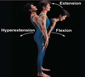 Rotation: medial and lateral