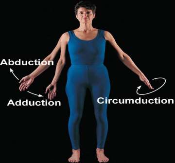 Inversion and eversion