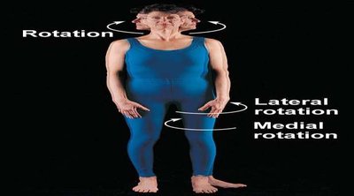 Dorsiflexion and plantar flexion