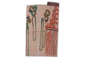 Diagram of cortical and juxtamedullary nephrons