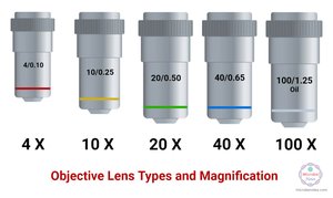 Objective lens types and magnification