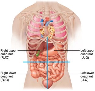 Four abdominopelvic quadrants