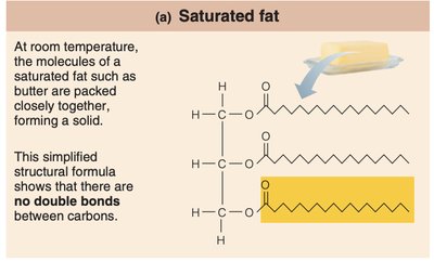 Saturated fat structure