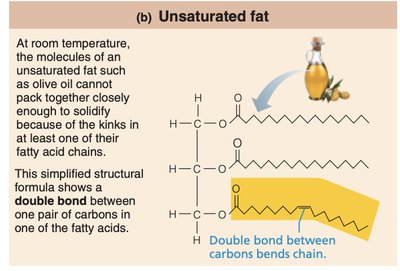 Unsaturated fat structure