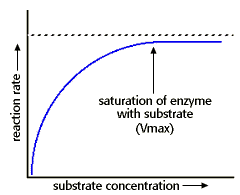 Enzyme activity vs. substrate concentration