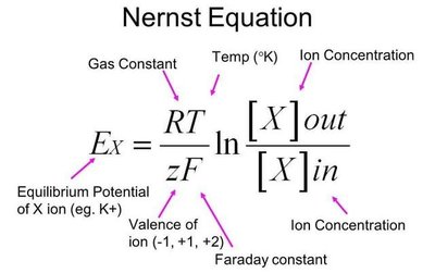 Nernst equation