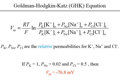 Goldman-Hodgkin-Katz equation