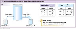 As the radius of a tube decreases, resistance increases