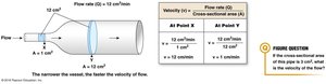 Velocity of flow depends on cross-sectional area