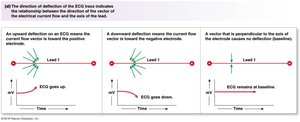 Vector of current flow in heart