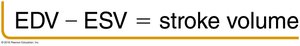 Stroke volume equation
