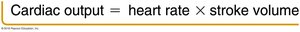 Cardiac output equation