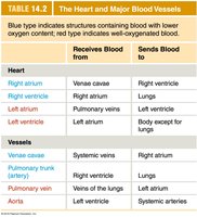 Heart and major blood vessels table