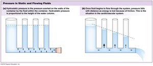 Pressure in static and flowing fluids