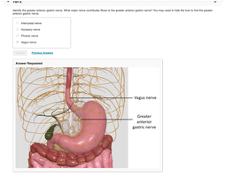 Anatomy & Physiology Digestive System Study Guide | Notes
