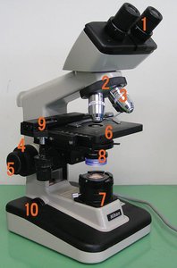 Components of a typical bright field microscope
