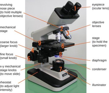 Labeled microscope components