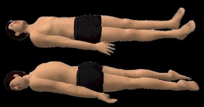 Prone and supine positions